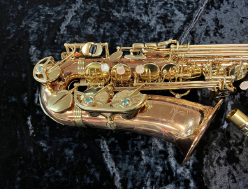 Photo LIKE NEW! Yanagisawa AWO2 Bronze Series Professional Alto Sax - Serial # 00412673